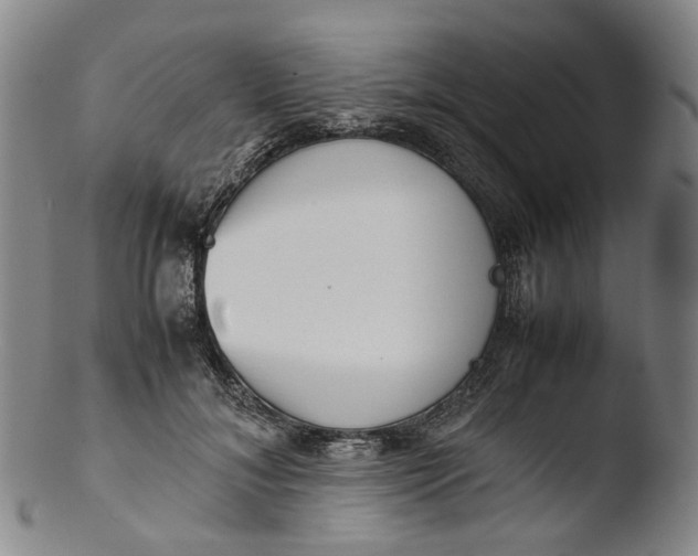 X0000103450700200809261817