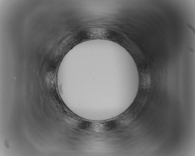 X0000103450701200809261817