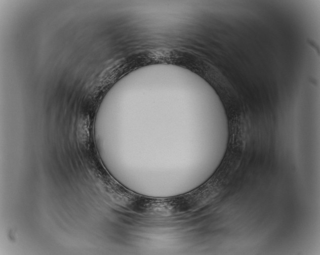 X0000103450702200809261817