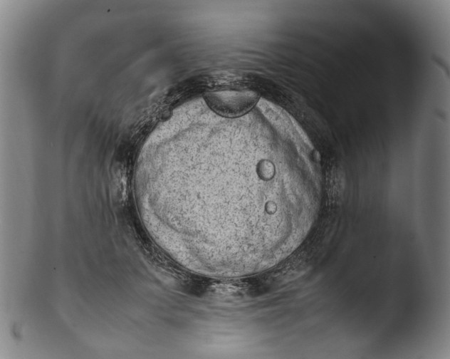 X0000103450703200809261817