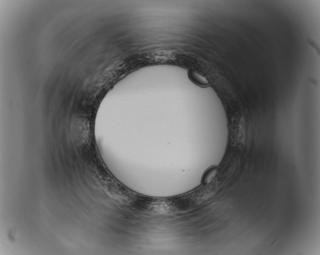 X0000103450704200809261817