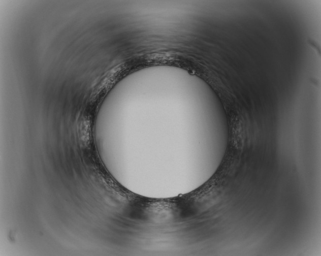 X0000103450708200809261817