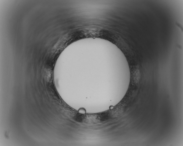 X0000103450709200809261817