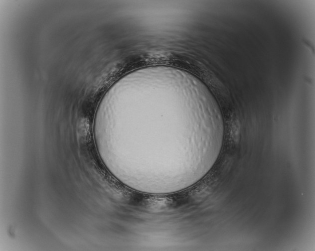 X0000103450711200809261817