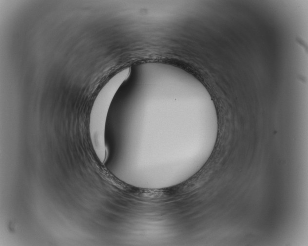 X0000103450720200809261817