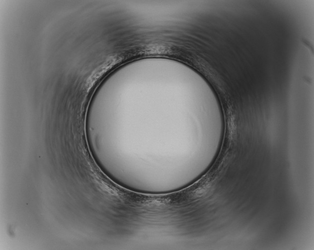 X0000103450721200809261816