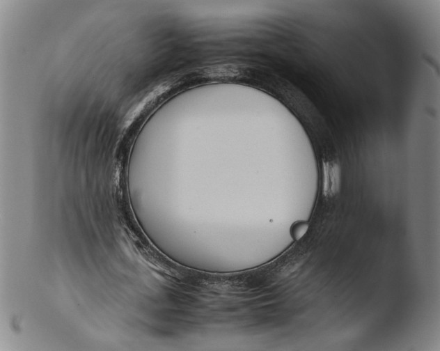 X0000103450723200809261816