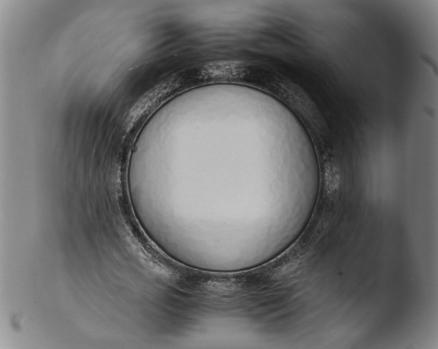 X0000103450725200809261816