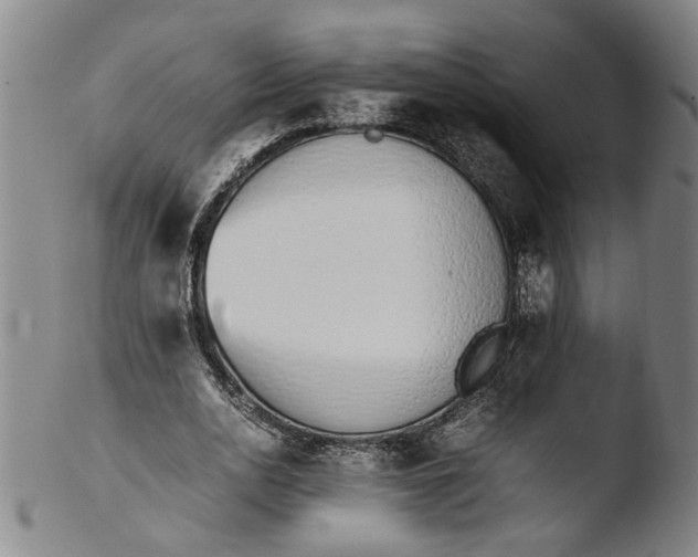 X0000103450726200809261816