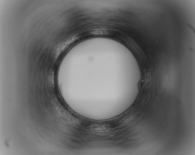 X0000103450727200809261816