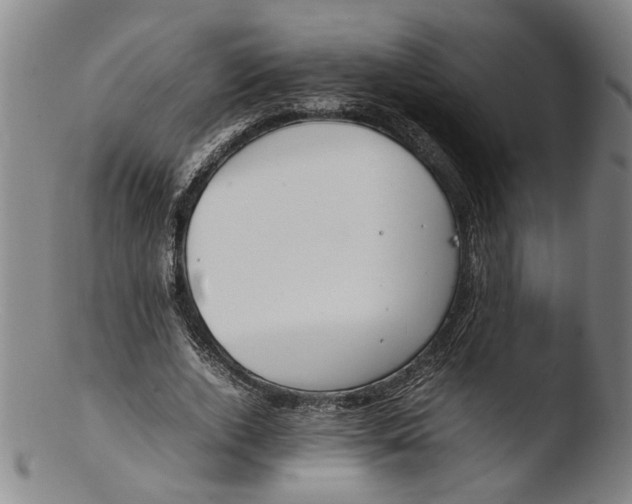 X0000103450728200809261816