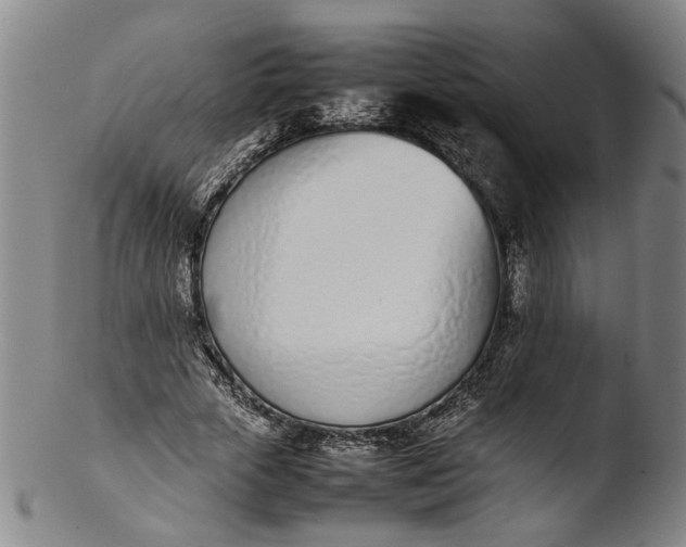 X0000103450729200809261816