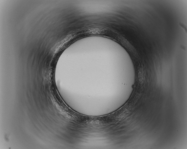 X0000103450730200809261816