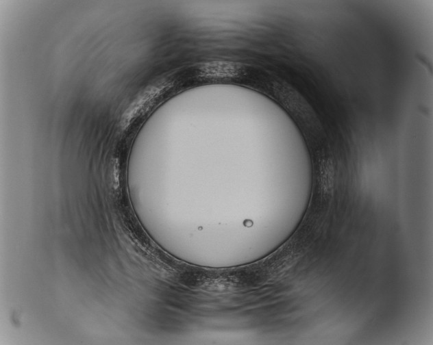 X0000103450731200809261816