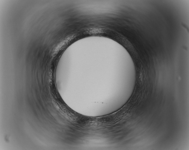 X0000103450732200809261817