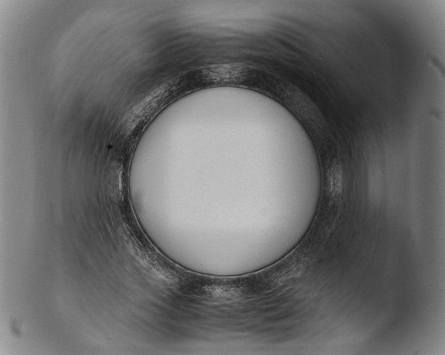 X0000103450733200809261817