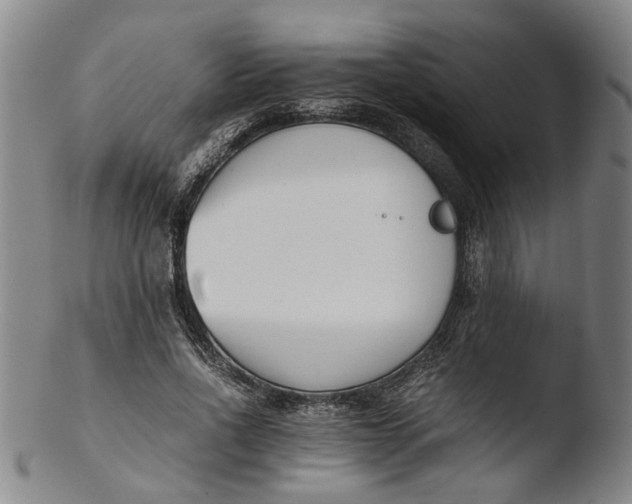 X0000103450734200809261817