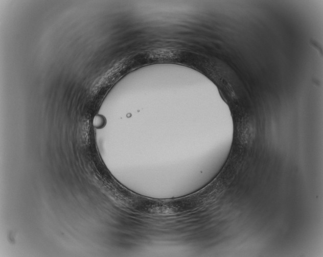 X0000103450735200809261817