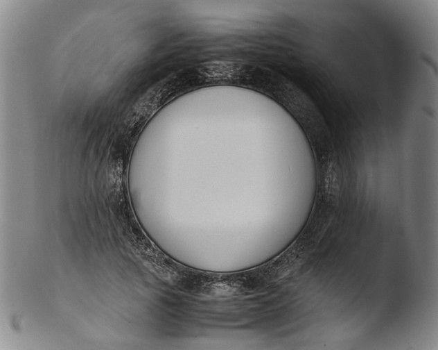 X0000103450737200809261817