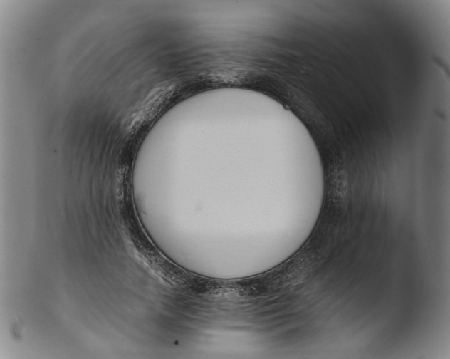 X0000103450738200809261817