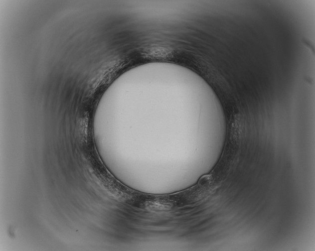 X0000103450739200809261817