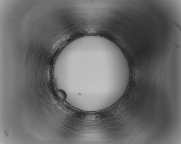 X0000103450740200809261817