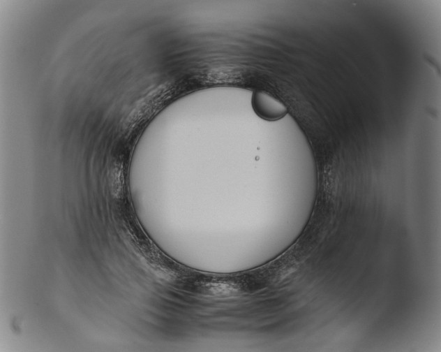 X0000103450741200809261817