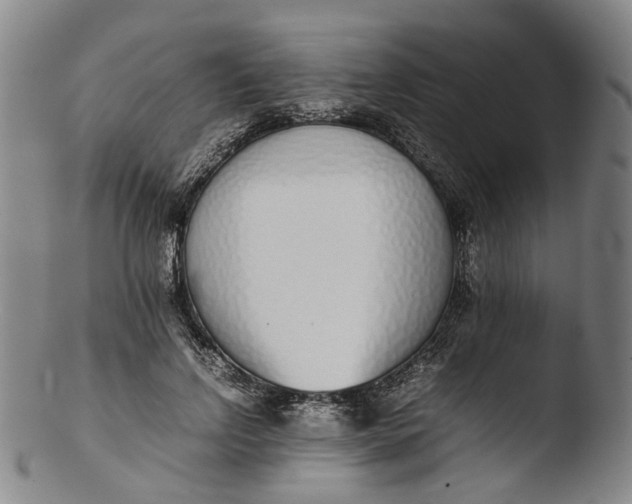 X0000103450742200809261817