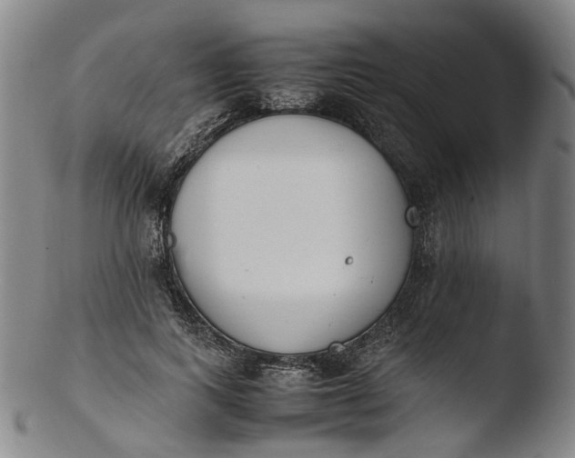 X0000103450743200809261817