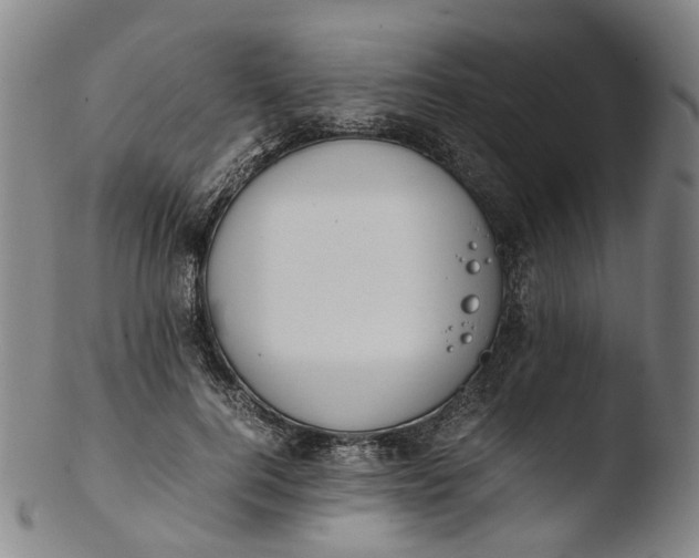 X0000103450744200809261817