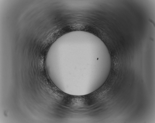 X0000103450745200809261817