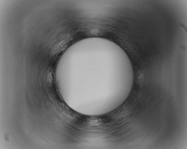 X0000103450746200809261817