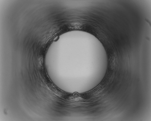 X0000103450747200809261817