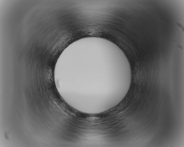 X0000103450748200809261817