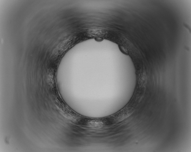 X0000103450749200809261817