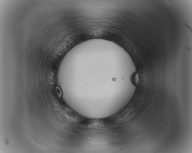 X0000103450750200809261817