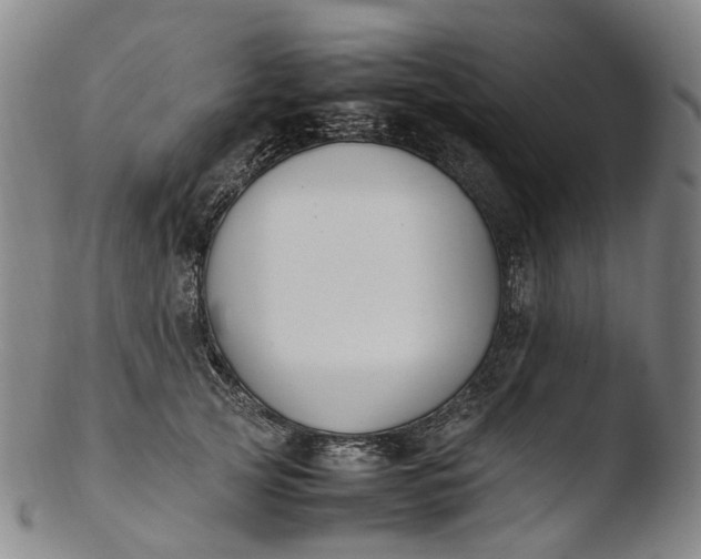 X0000103450753200809261817