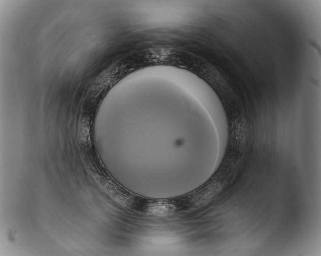 X0000103450754200809261817