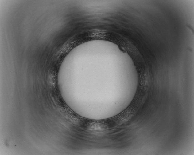 X0000103450755200809261817