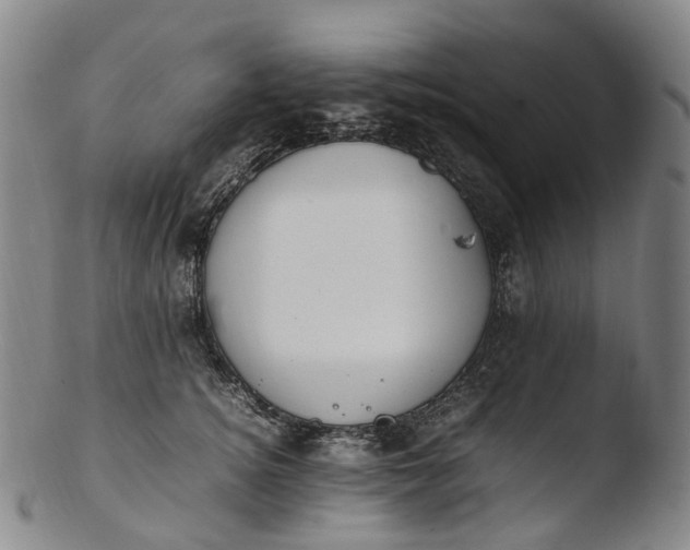 X0000103450756200809261817