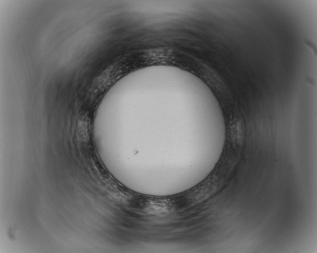 X0000103450757200809261817