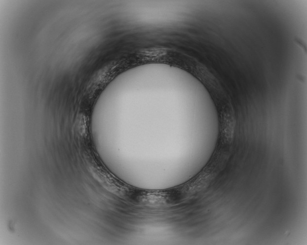 X0000103450758200809261817