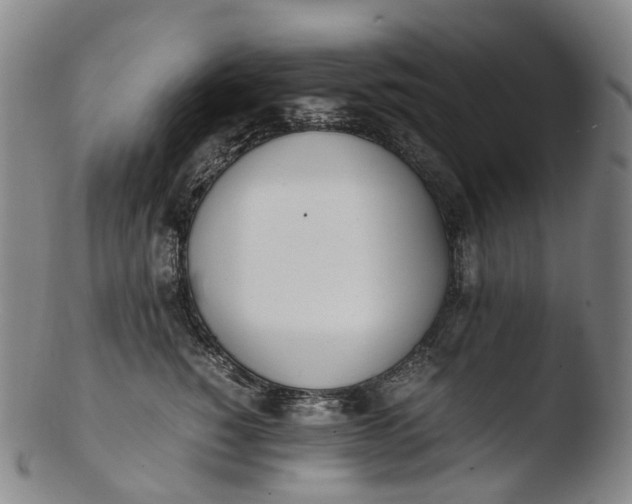 X0000103450760200809261817