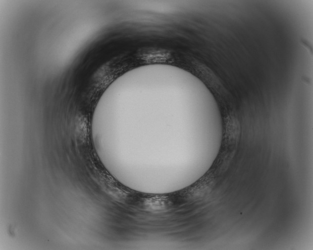 X0000103450761200809261817