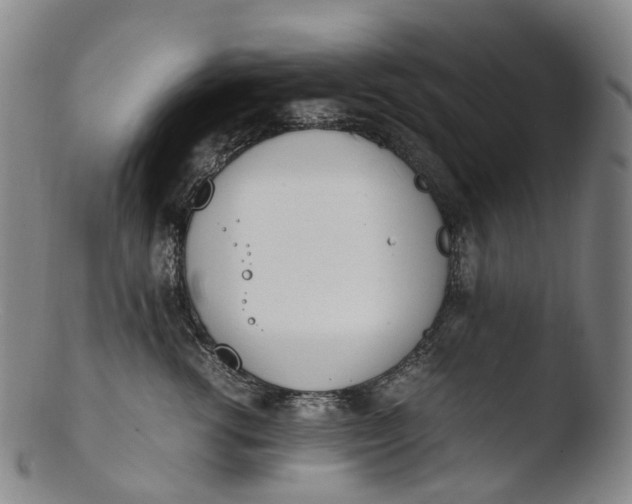 X0000103450762200809261817