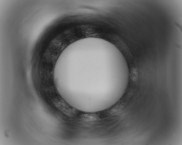 X0000103450763200809261817