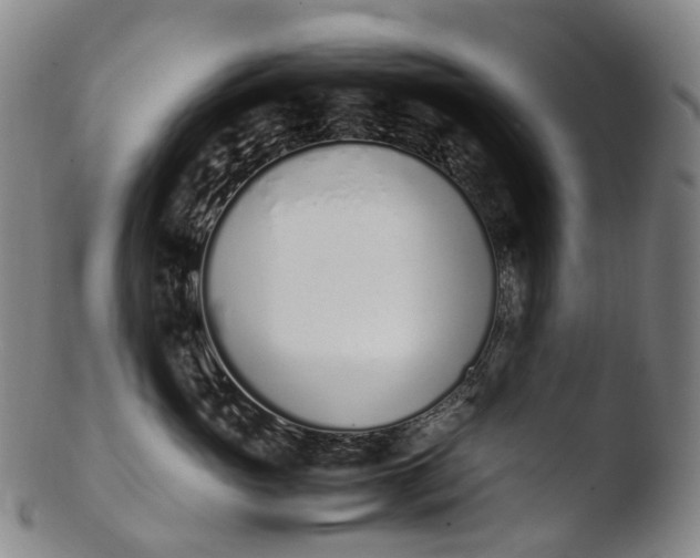 X0000103450765200809261817