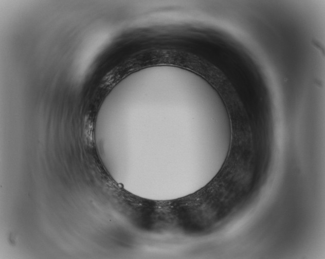 X0000103450766200809261817