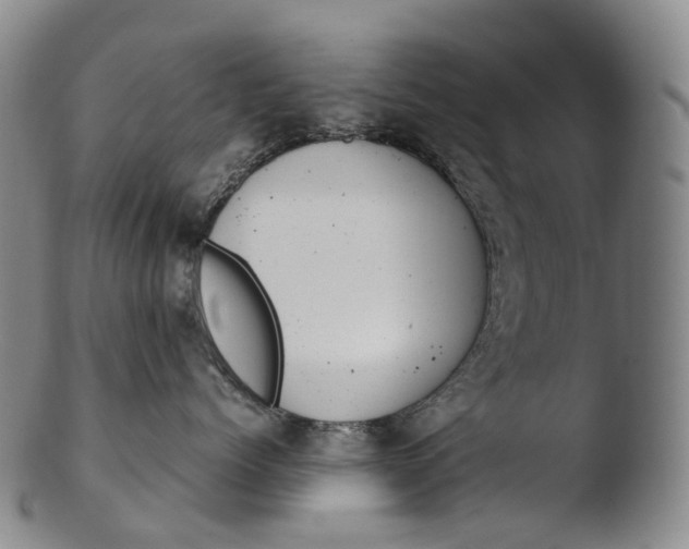 X0000103450768200809261817