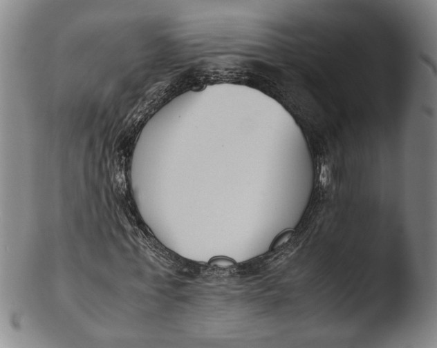 X0000103450771200809261816